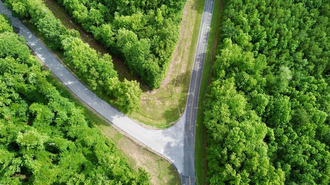 Aerial view of a road through forest